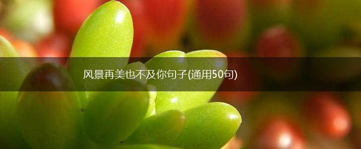 风景再美也不及你句子(通用50句),第1张
