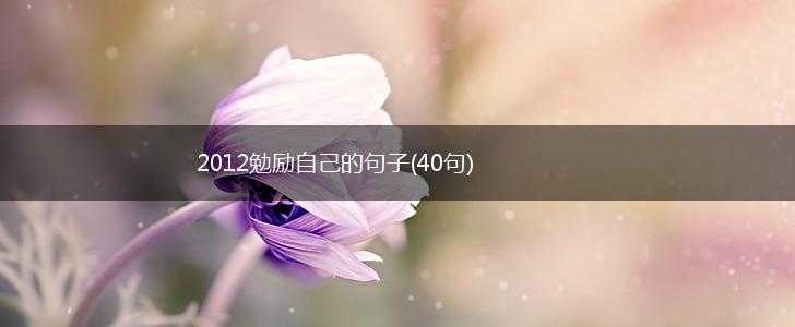 2012勉励自己的句子(40句),第1张