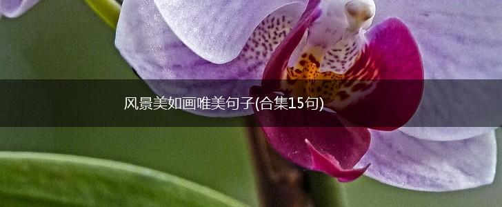 风景美如画唯美句子(合集15句),第1张
