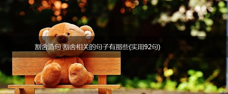 割舍造句 割舍相关的句子有那些(实用92句),第1张