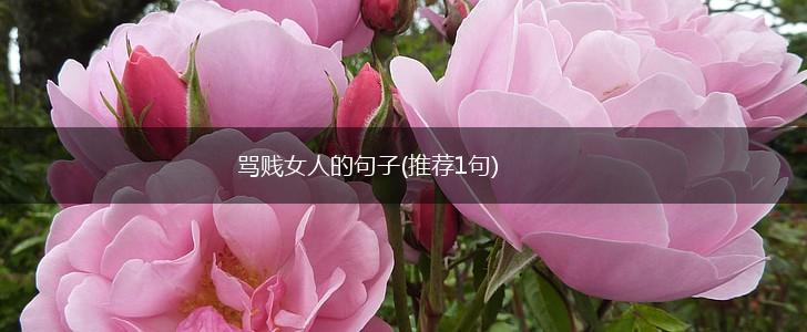 骂贱女人的句子(推荐1句),第1张