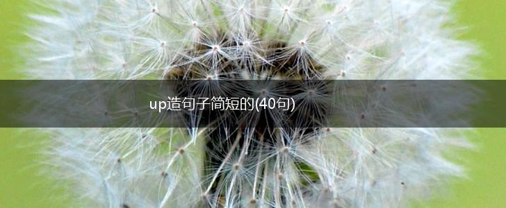 up造句子简短的(40句),第1张