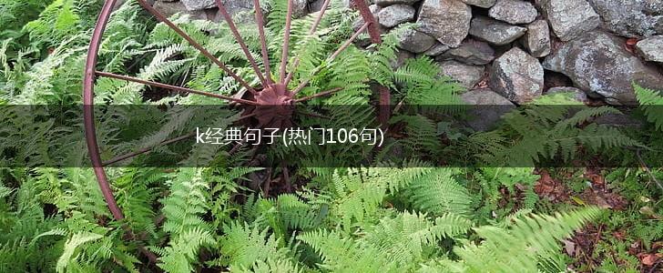 k经典句子(热门106句),第1张