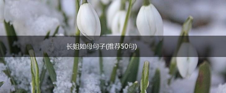 长姐如母句子(推荐50句),第1张
