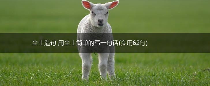 尘土造句 用尘土简单的写一句话(实用62句),第1张