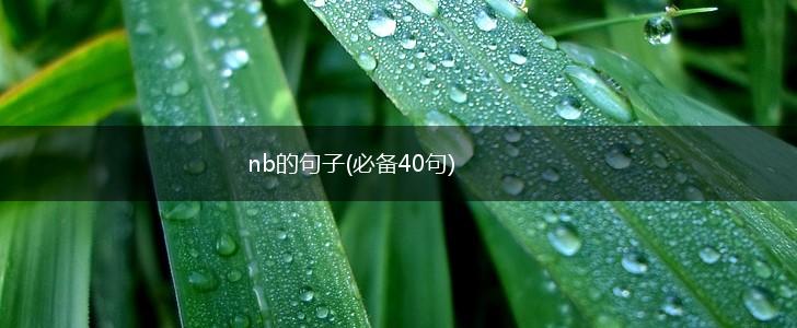 nb的句子(必备40句),第1张