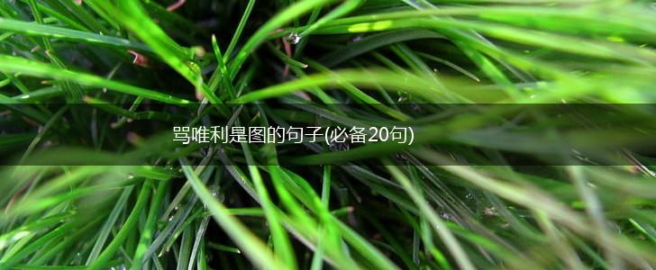 骂唯利是图的句子(必备20句),第1张