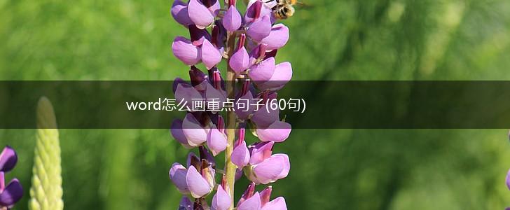 word怎么画重点句子(60句),第1张
