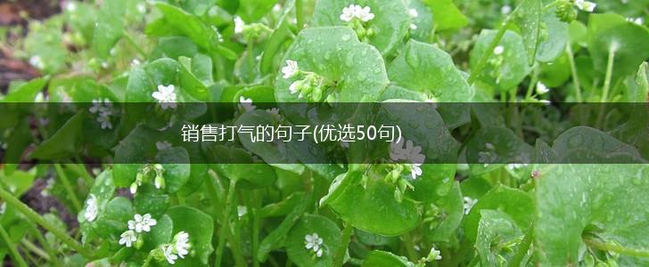 销售打气的句子(优选50句),第1张