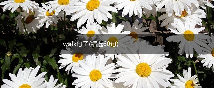 walk句子(精选60句),第1张