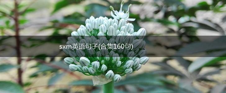 sxm英语句子(合集160句),第1张