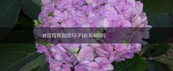tt语音欢迎语句子(必备60句),第1张