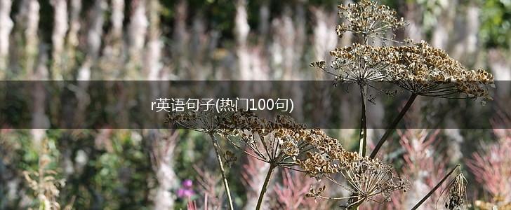 r英语句子(热门100句),第1张