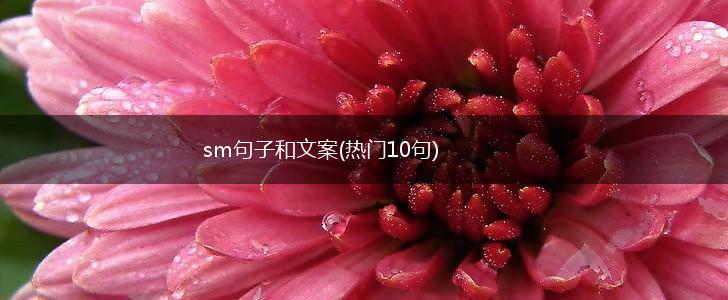 sm句子和文案(热门10句),第1张