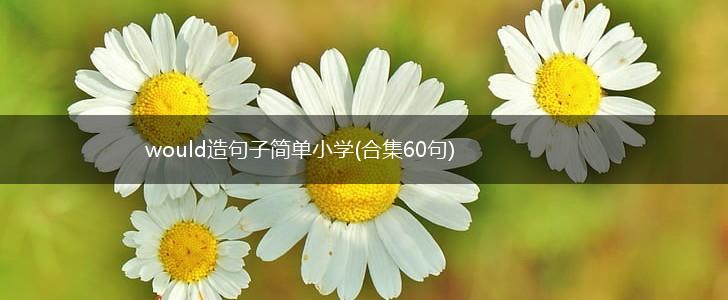 would造句子简单小学(合集60句),第1张