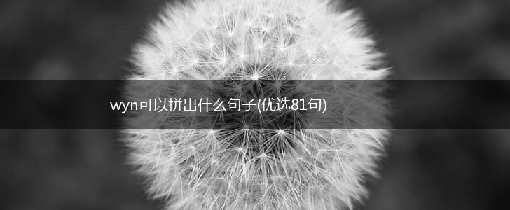 wyn可以拼出什么句子(优选81句),第1张