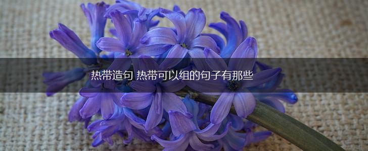 热带造句 热带可以组的句子有那些,第1张
