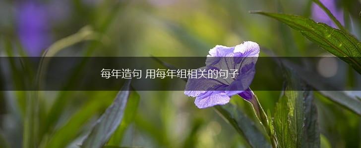 每年造句 用每年组相关的句子,第1张