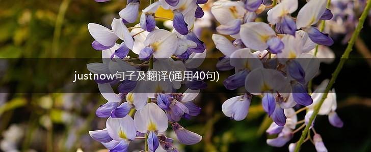 justnow句子及翻译(通用40句),第1张