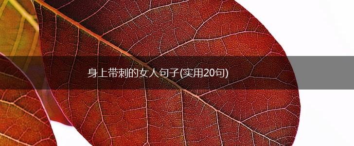身上带刺的女人句子(实用20句),第1张