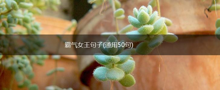 霸气女王句子(通用50句),第1张