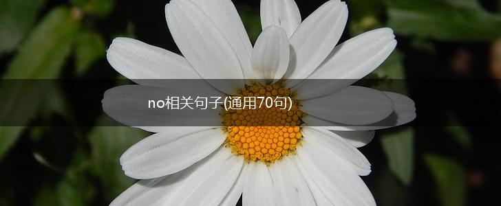no相关句子(通用70句),第1张