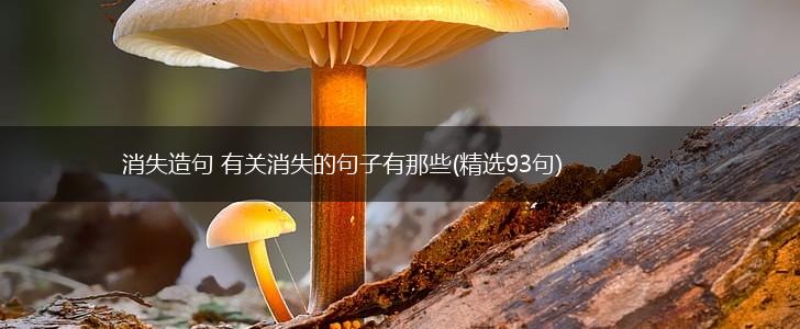 消失造句 有关消失的句子有那些(精选93句),第1张