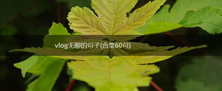 vlog无聊的句子(合集60句),第1张