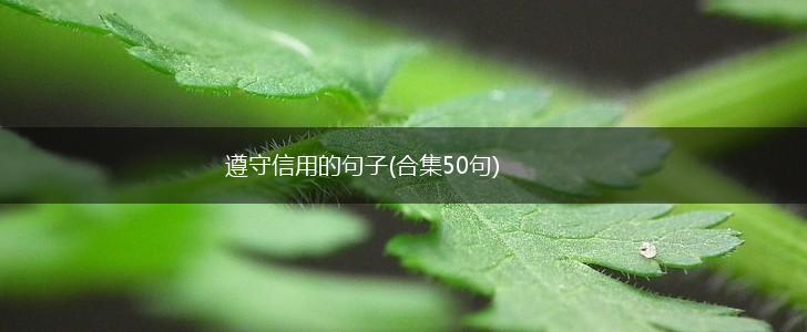 遵守信用的句子(合集50句),第1张