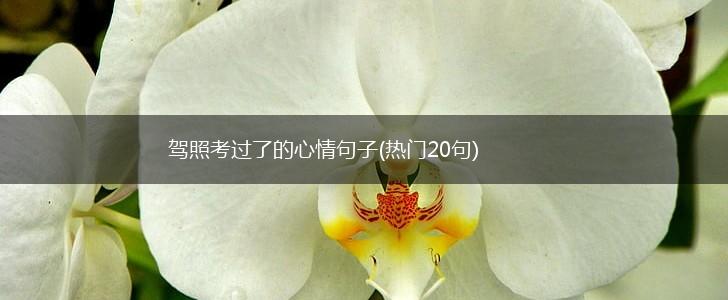 驾照考过了的心情句子(热门20句),第1张