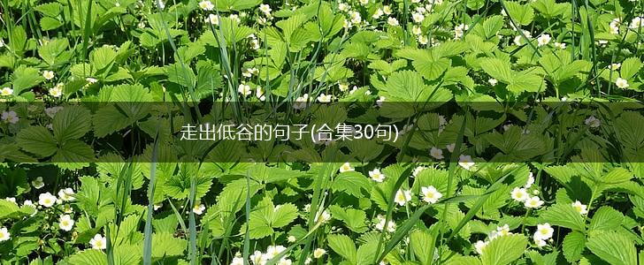 走出低谷的句子(合集30句),第1张