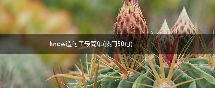 know造句子最简单(热门50句),第1张