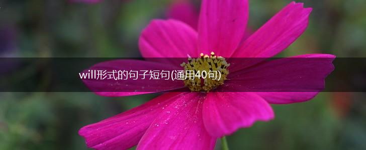 will形式的句子短句(通用40句),第1张