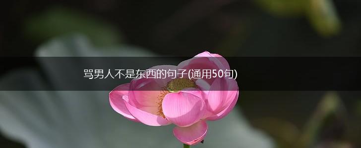 骂男人不是东西的句子(通用50句),第1张