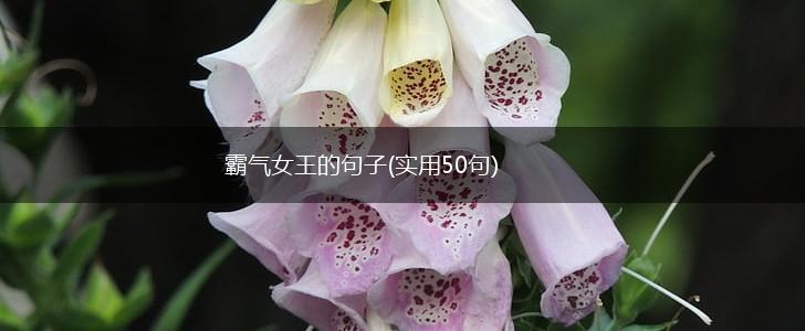 霸气女王的句子(实用50句),第1张