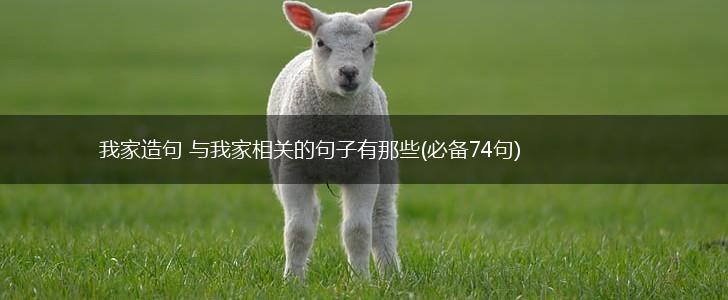 我家造句 与我家相关的句子有那些(必备74句),第1张