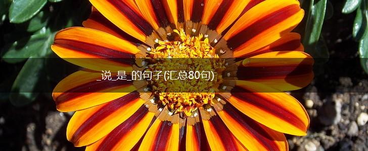 _说_是_的句子(汇总80句),第1张