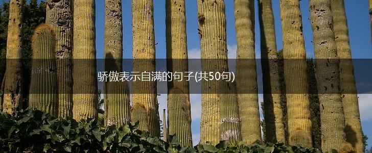 骄傲表示自满的句子(共50句),第1张