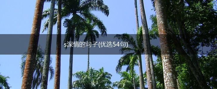 s深情的句子(优选54句),第1张
