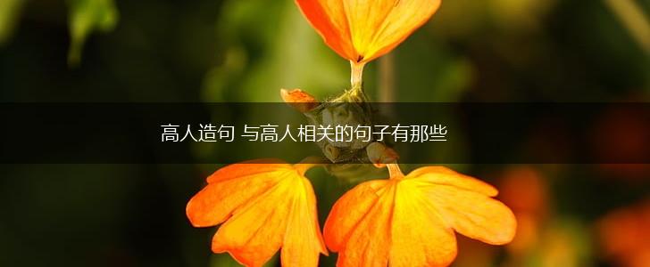 高人造句 与高人相关的句子有那些,第1张