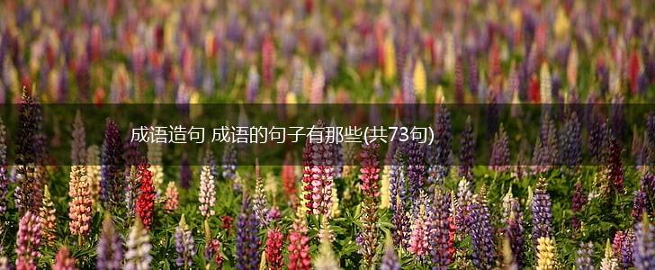 成语造句 成语的句子有那些(共73句),第1张