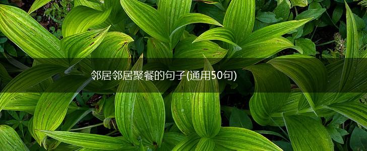 邻居邻居聚餐的句子(通用50句),第1张