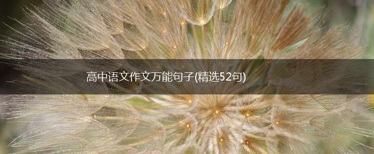 高中语文作文万能句子(精选52句),第1张