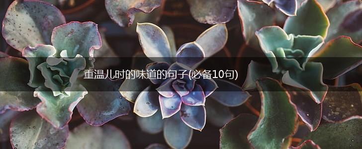 重温儿时的味道的句子(必备10句),第1张