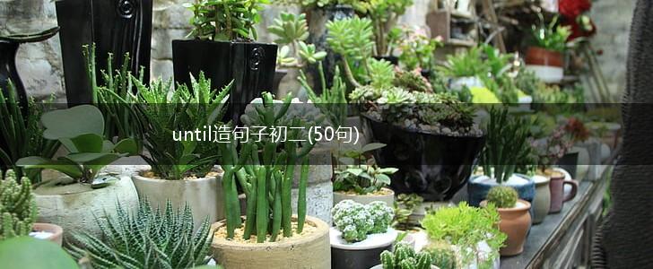 until造句子初二(50句),第1张