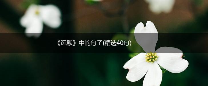 《沉默》中的句子(精选40句),第1张