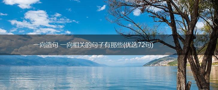 一向造句 一向相关的句子有那些(优选72句),第1张
