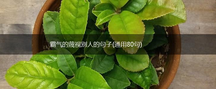 霸气的蔑视别人的句子(通用80句),第1张