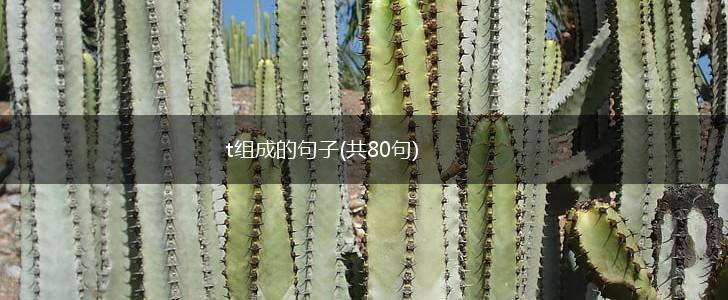 t组成的句子(共80句),第1张