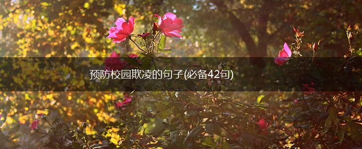 预防校园欺凌的句子(必备42句),第1张